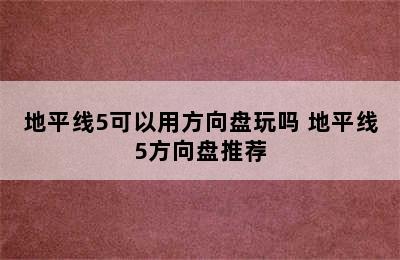 地平线5可以用方向盘玩吗 地平线5方向盘推荐